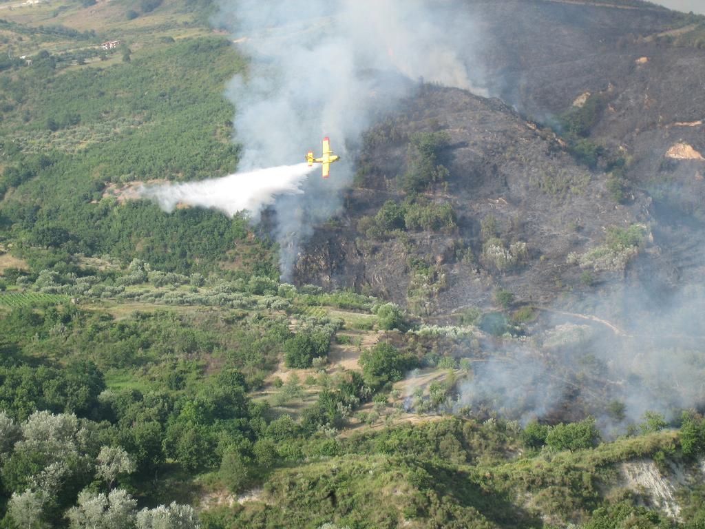 incendio aiello-lago 21 luglio 3.JPG